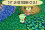 Animal Crossing: Wild World (DS)