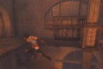Prince of Persia: The Two Thrones (PlayStation 2)