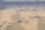 Legion Arena (PC)