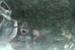 Peter Jackson's King Kong: The Official Game of the Movie (GameCube)