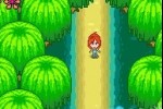 WinX Club (Game Boy Advance)