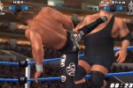 WWE SmackDown! vs. Raw 2006 (PlayStation 2)