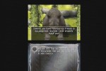 The Chronicles of Narnia: The Lion, The Witch and The Wardrobe (DS)
