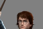 Harry Potter and the Goblet of Fire (PC)