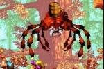 Donkey Kong Country 3 (Game Boy Advance)