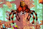 Donkey Kong Country 3 (Game Boy Advance)