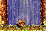 Donkey Kong Country 3 (Game Boy Advance)