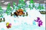 Donkey Kong Country 3 (Game Boy Advance)