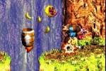 Donkey Kong Country 3 (Game Boy Advance)