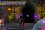 Castlevania: Curse of Darkness (PlayStation 2)