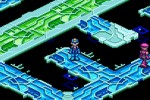 Mega Man Battle Network 5: Double Team (DS)