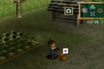 Harvest Moon: A Wonderful Life Special Edition (PlayStation 2)