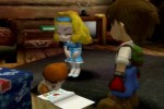 Harvest Moon: A Wonderful Life Special Edition (PlayStation 2)