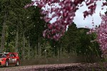 WRC: Rally Evolved (PlayStation 2)