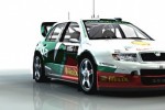 WRC: Rally Evolved (PlayStation 2)
