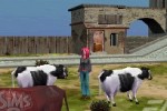The Sims 2 (DS)