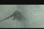 Shadow of the Colossus (PlayStation 2)