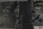 Shadow of the Colossus (PlayStation 2)