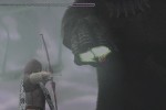 Shadow of the Colossus (PlayStation 2)