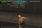 Tony Hawk's American Wasteland (GameCube)