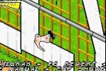 Tony Hawk's American Sk8land (Game Boy Advance)