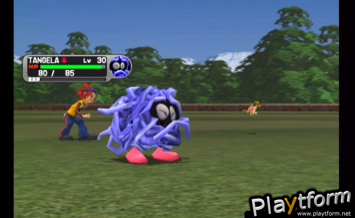 Pokemon XD: Gale of Darkness (GameCube)