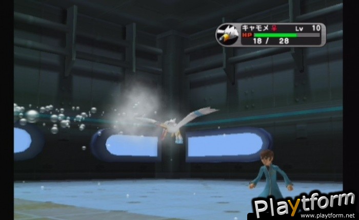 Pokemon XD: Gale of Darkness (GameCube)