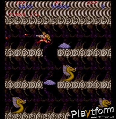 Capcom Classics Collection (PlayStation 2)