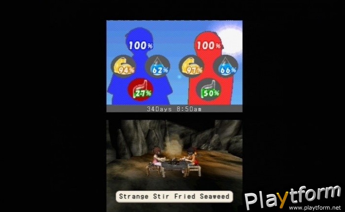 Lost in Blue (DS)