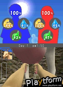 Lost in Blue (DS)