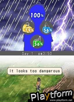 Lost in Blue (DS)
