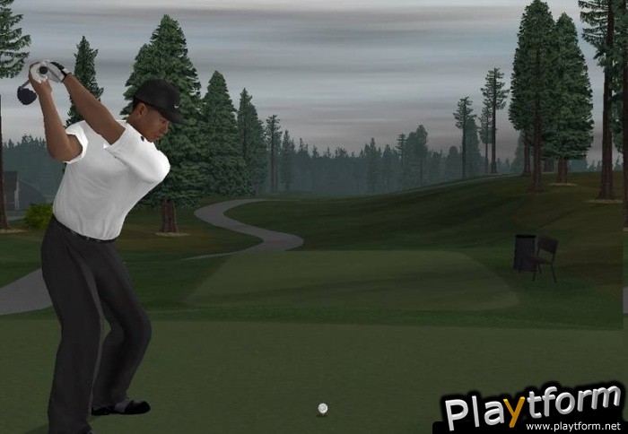 Tiger Woods PGA Tour 06 (PC)