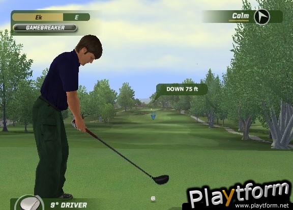 Tiger Woods PGA Tour 06 (Xbox)