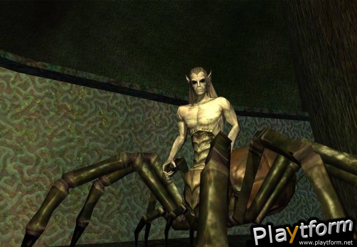 EverQuest: Depths of Darkhollow (PC)