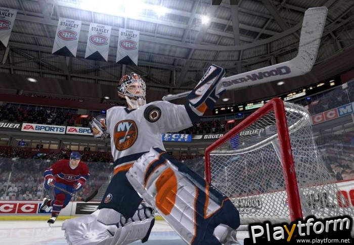 NHL 06 (PC)