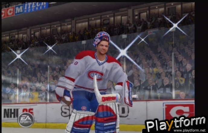 NHL 06 (PlayStation 2)