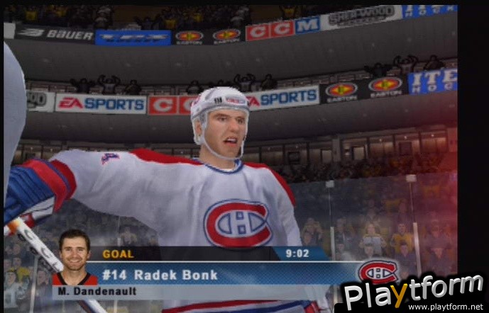 NHL 06 (PlayStation 2)