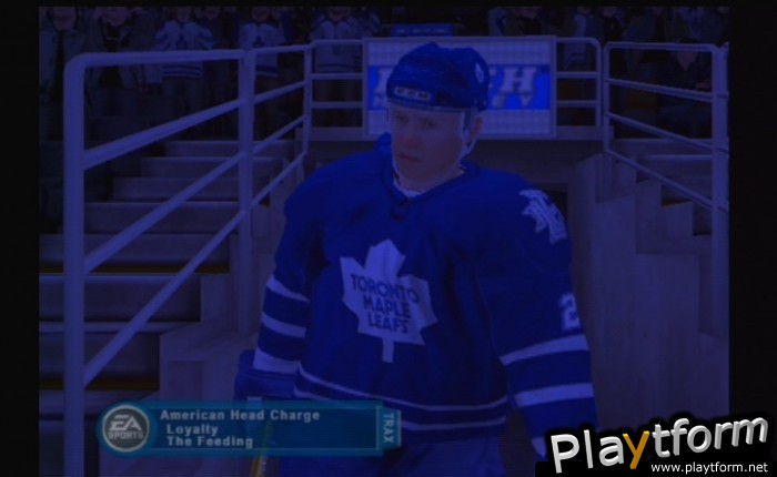 NHL 06 (PlayStation 2)