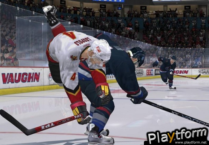 NHL 06 (PlayStation 2)