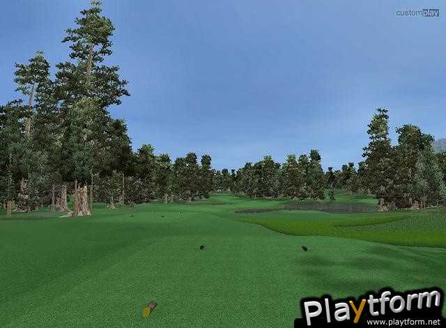 CustomPlay Golf (PC)