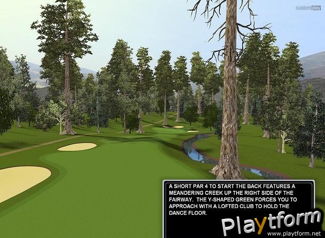 CustomPlay Golf (PC)