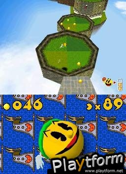 Pac 'n Roll (DS)