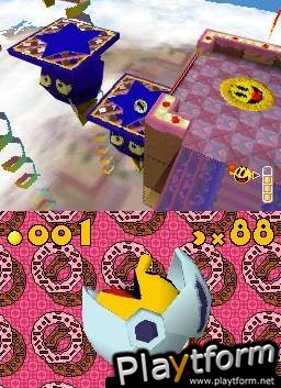 Pac 'n Roll (DS)
