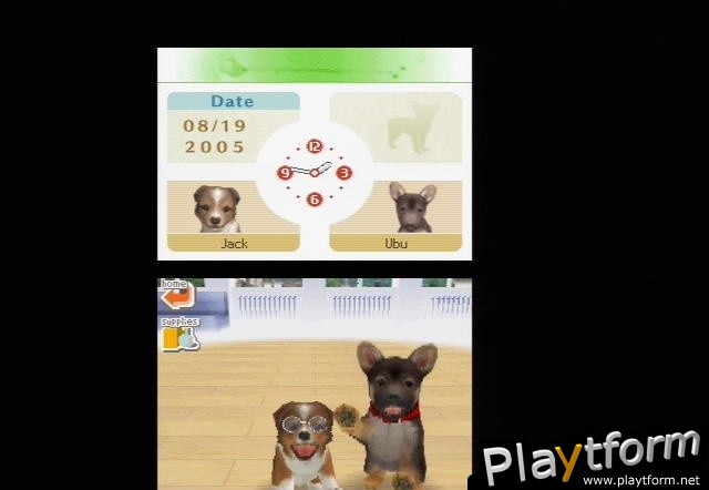 Nintendogs: Dachshund and Friends (DS)