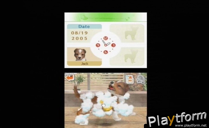 Nintendogs: Dachshund and Friends (DS)