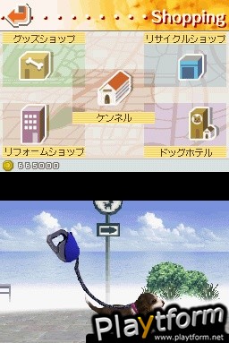 Nintendogs: Dachshund and Friends (DS)