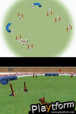 Nintendogs: Dachshund and Friends (DS)