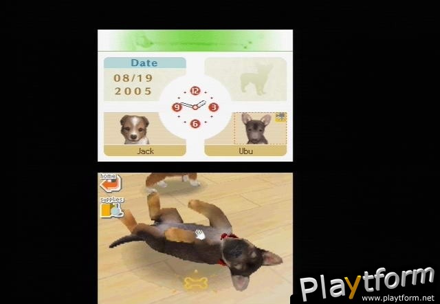 Nintendogs: Chihuahua and Friends (DS)