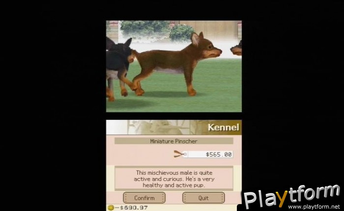 Nintendogs: Chihuahua and Friends (DS)