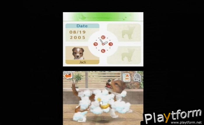 Nintendogs: Chihuahua and Friends (DS)
